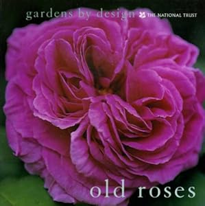 Old Roses by Graham Murphy