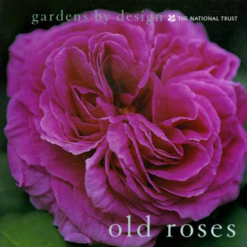 Old Roses by Graham Murphy