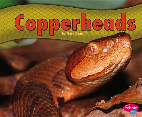 Copperheads by Mary R. Dunn