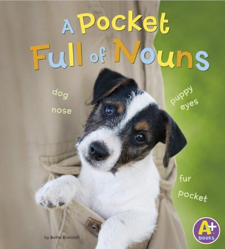 A Pocket Full of Nouns by Bette Blaisdell
