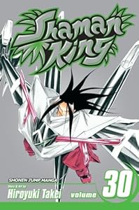 Shaman King, Vol. 30