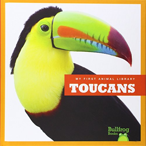 Toucans by Mari Schuh