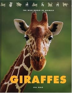Giraffes: The Wild World of Animals