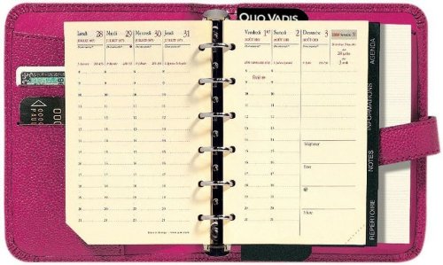 Agenda Quo Vadis 96/97 Du Sénat En Cuir Vert - Vintage Sac à Main Occasion