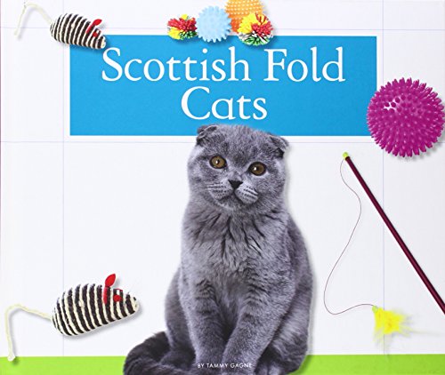 Scottish Fold Cats by Tammy Gagne