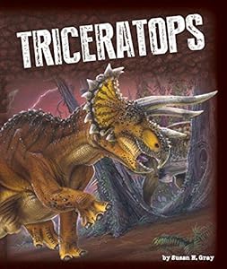 Triceratops by Susan H. Gray