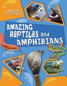 Amazing Reptiles and Amphibians (Amazing Life Cycles)