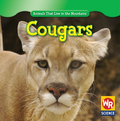 Cougars by JoAnn Early Macken