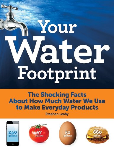 Your Water Footprint: The Shocking Facts About How Much Water We Use to Make Everyday Products by Stephen Leahy