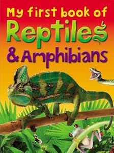 My First Book of Reptiles &amp; Amphibians