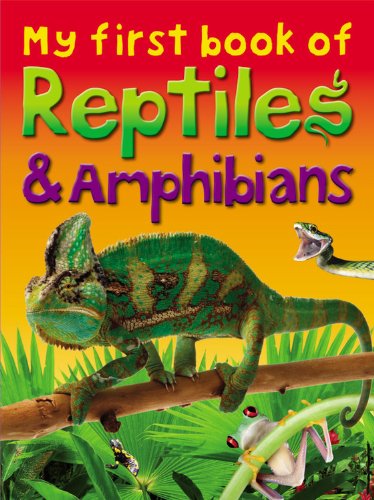 My First Book of Reptiles &amp; Amphibians by Ticktock