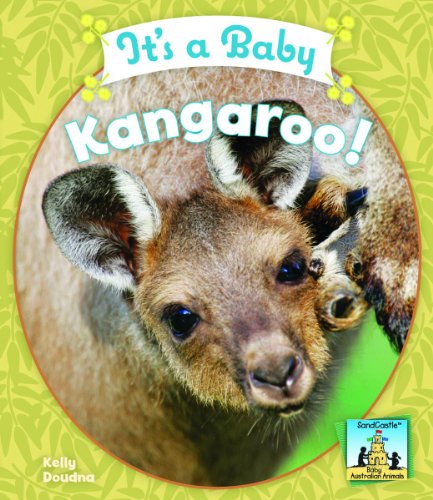 It's a Baby Kangaroo! by Kelly Doudna