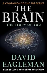 The Brain: The Story of You