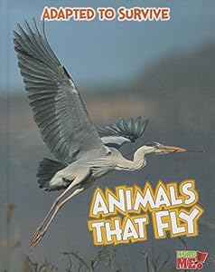 Adapted to Survive: Animals that Fly
