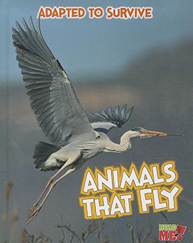 Adapted to Survive: Animals that Fly by Angela Royston