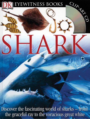 Shark by Miranda MacQuitty