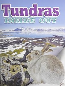 Tundras Inside Out