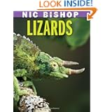 Lizards