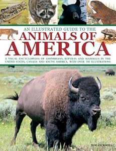 An illustrated guide to the animals of America : a visual encyclopedia of amphibians, reptiles and mammals in the United States, Canada and South America, with over 350 illustrations