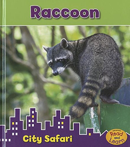 Raccoon: City Safari by Isabel Thomas