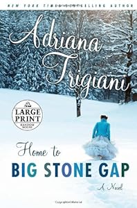 Home to Big Stone Gap: A Novel (Big Stone Gap Novels)