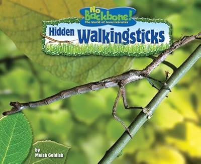 Hidden Walkingsticks