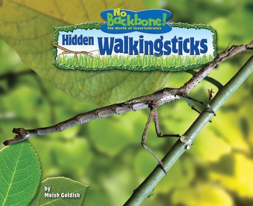 Hidden Walkingsticks by Meish Goldish