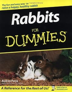 Rabbits For Dummies