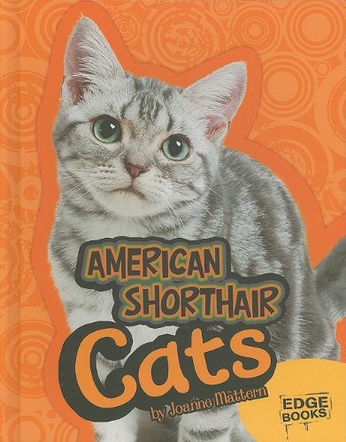 American Shorthair Cats by Joanne Mattern