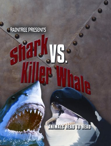Shark vs. Killer Whale (Animals Head to Head) by Isabel Thomas