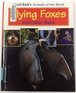 Flying foxes and other bats