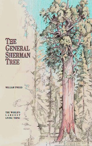 The General Sherman Tree by William Tweed