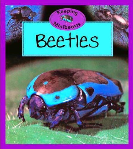Beetles (Keeping Minibeasts) by Barrie Watts