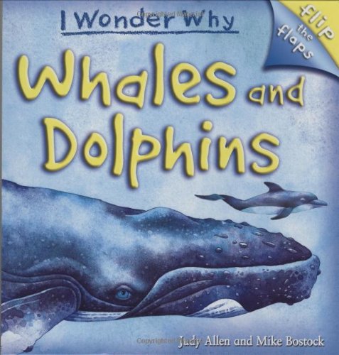 Flip The Flaps: Whales and Dolphins (I Wonder Why) by Judy Allen