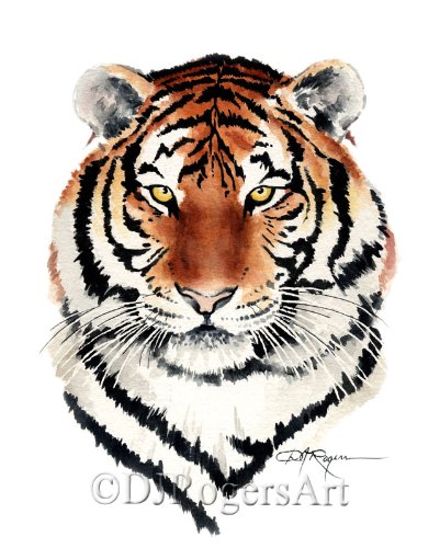 

"Bengal Tiger" Watercolor Art Print Signed by Artist DJ Rogers