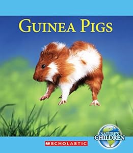 Guinea Pigs by Katie Marsico