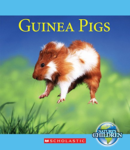 Guinea Pigs by Katie Marsico
