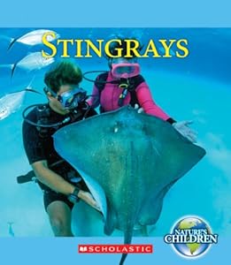 Stingrays