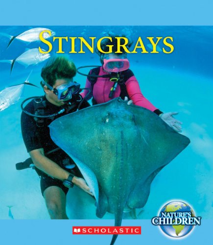 Stingrays by Jennifer Zeiger