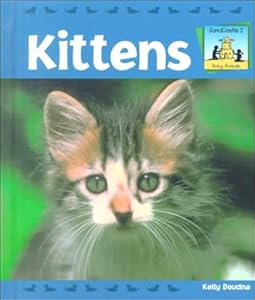 Kittens (SandCastle: Baby Animals)