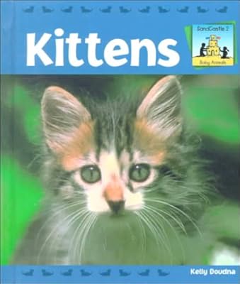 Kittens (SandCastle: Baby Animals)