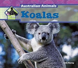 Koalas