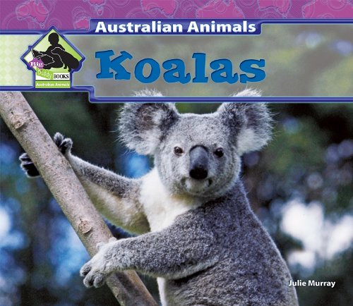 Koalas by Julie Murray