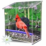Window Bird Feeder with Strong Suction Cups - Our Acrylic Birdhouse is Clear and See Through, Securely Mounted and Squirrel Resistant. Easy to Install with Drainage Holes & Beautiful Packaging