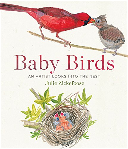 Baby Birds: An Artist Looks into the Nest by Julie Zickefoose