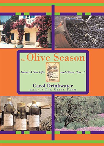 The Olive Season