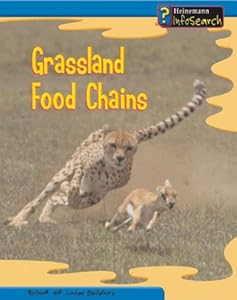 Grassland Food Chains (Food Webs)