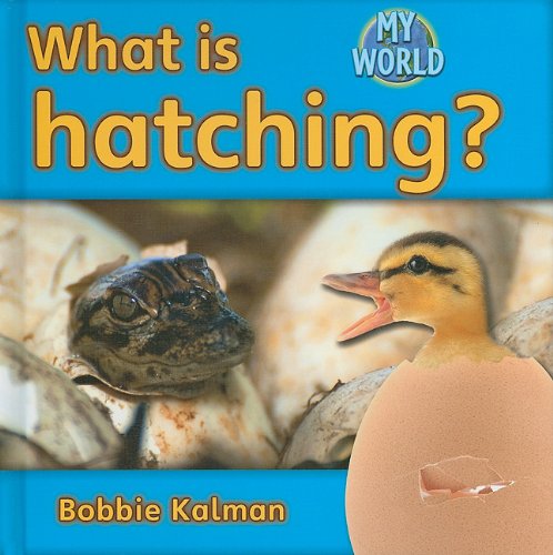 What Is Hatching? (Bobbie Kalman's Leveled Readers: My World: E) by Bobbie Kalman