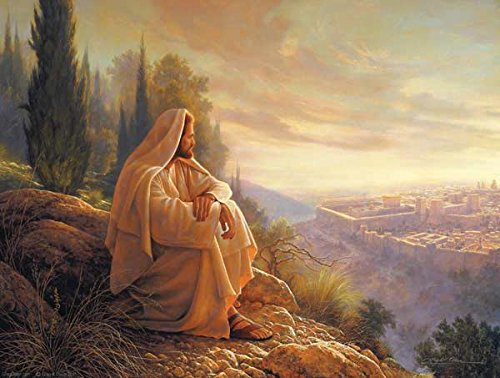 Oh Jerusalem a 500-Piece Jigsaw Puzzle by Sunsout Inc.
