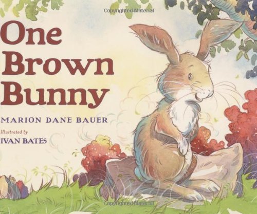 One Brown Bunny by Marion Dane Bauer